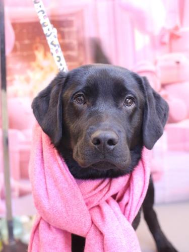 20241210文太くん